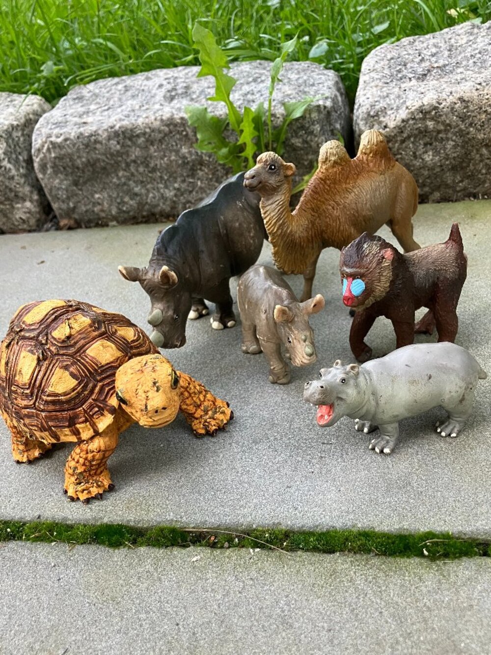 Vintage Safari Ltd Animal Figures Lot 6pc 🦏🐢🐪 Wildlife Collectibles